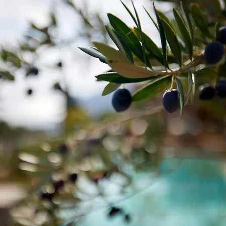 Hotel Angsana Corfu & Benitses (Corfu)